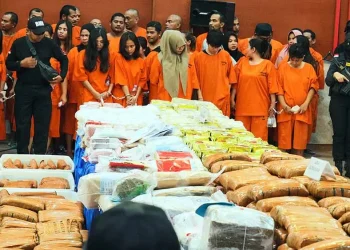Indonesia Arrests 285 in Major Drug Crackdown, Seizes Over Half a Ton of Narcotics
