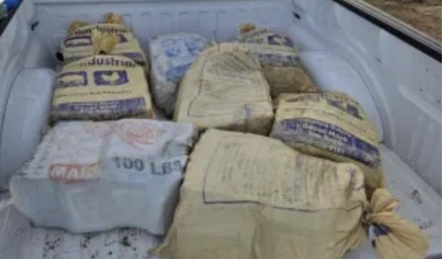 Officials Find $4.2M Worth of Cocaine in Beached Boat in Puerto Rico