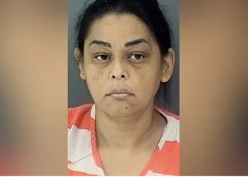 Texas Woman Arrested for Allegedly Smuggling 25 Illegal Immigrants Inside Box Truck