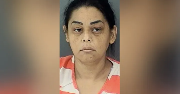 Texas Woman Arrested for Allegedly Smuggling 25 Illegal Immigrants Inside Box Truck