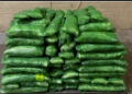 Border Officers Seize $6.7 Million in Meth Hidden Among Tomatillos at Texas Cargo Facility
