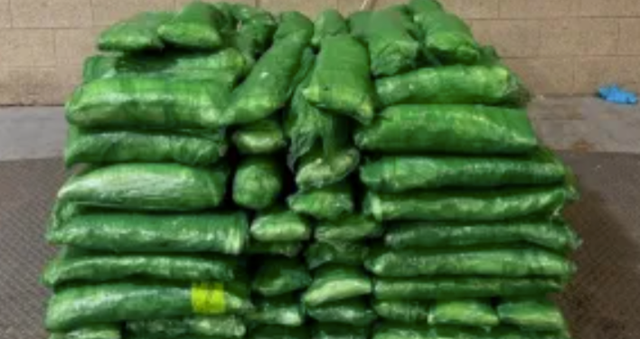 Border Officers Seize $6.7 Million in Meth Hidden Among Tomatillos at Texas Cargo Facility