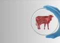 ‘Where’s The Beef?’ Texas Bans Lab-Grown Meat