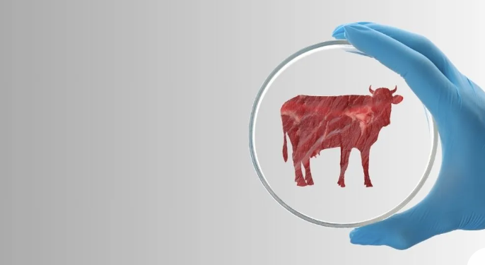 ‘Where’s The Beef?’ Texas Bans Lab-Grown Meat