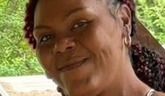 Officials Search for Missing Illinois Woman Last Seen Visiting Family in Mississippi