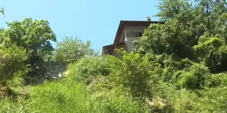 ‘Ghost Children’: Siblings, 9 and 6, Found Living Off-Grid in Nappies, Speaking Only Primitive Language